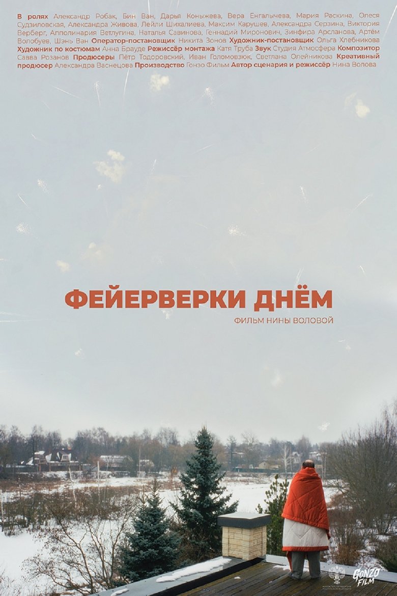 Poster of Фейерверки днём