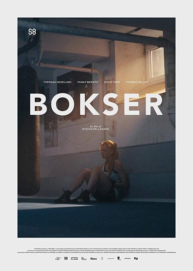 Poster of Boxer