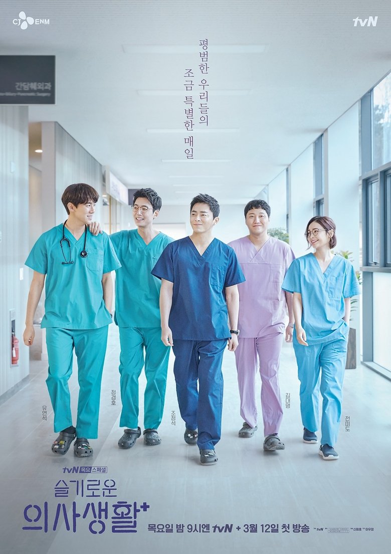 Poster of 슬기로운 의사생활