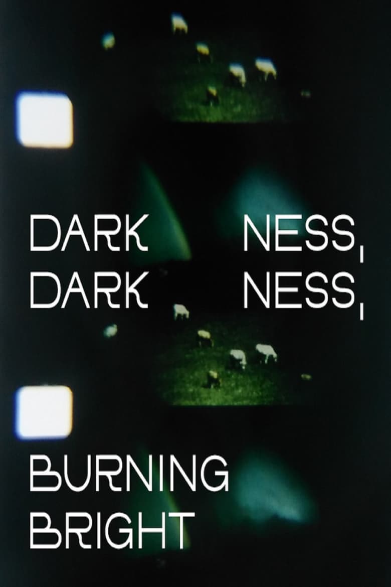 Poster of Darkness, Darkness, Burning Bright