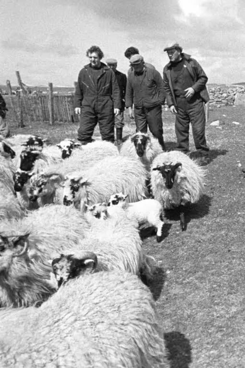 Poster of The Shepherds of Berneray