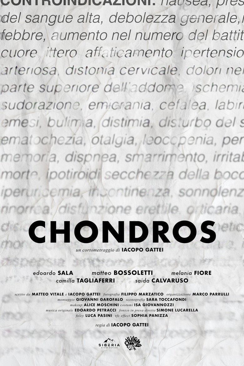 Poster of Chondros