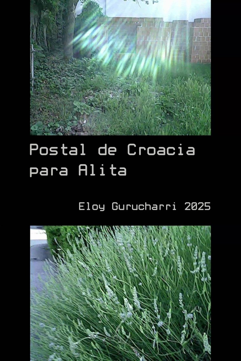 Poster of Postcard from Croatia to Alita