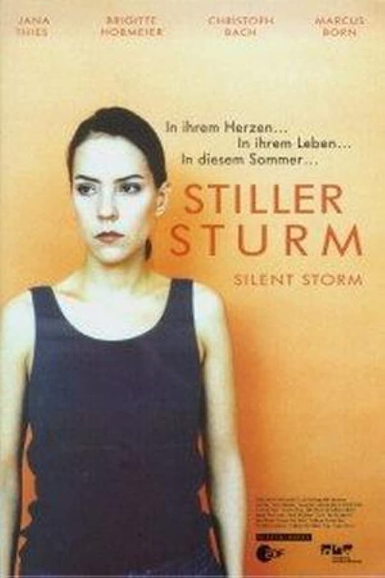 Poster of Silent Storm