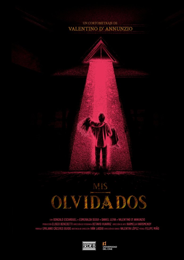 Poster of Mis Olvidados