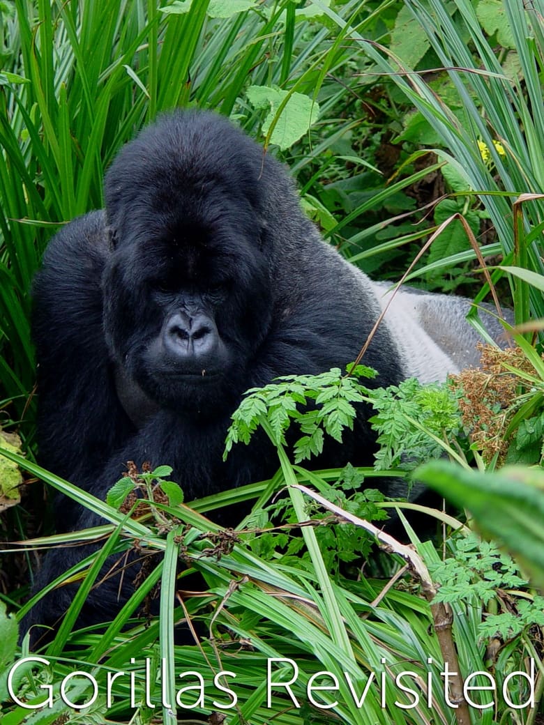 Poster of Gorillas Revisited with Sir David Attenborough