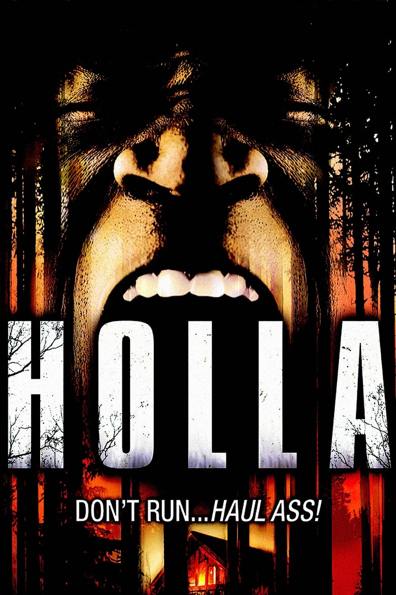 Poster of Holla