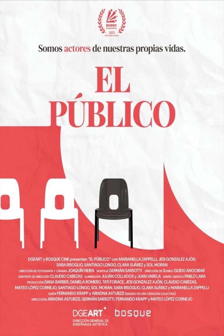 Poster of The public