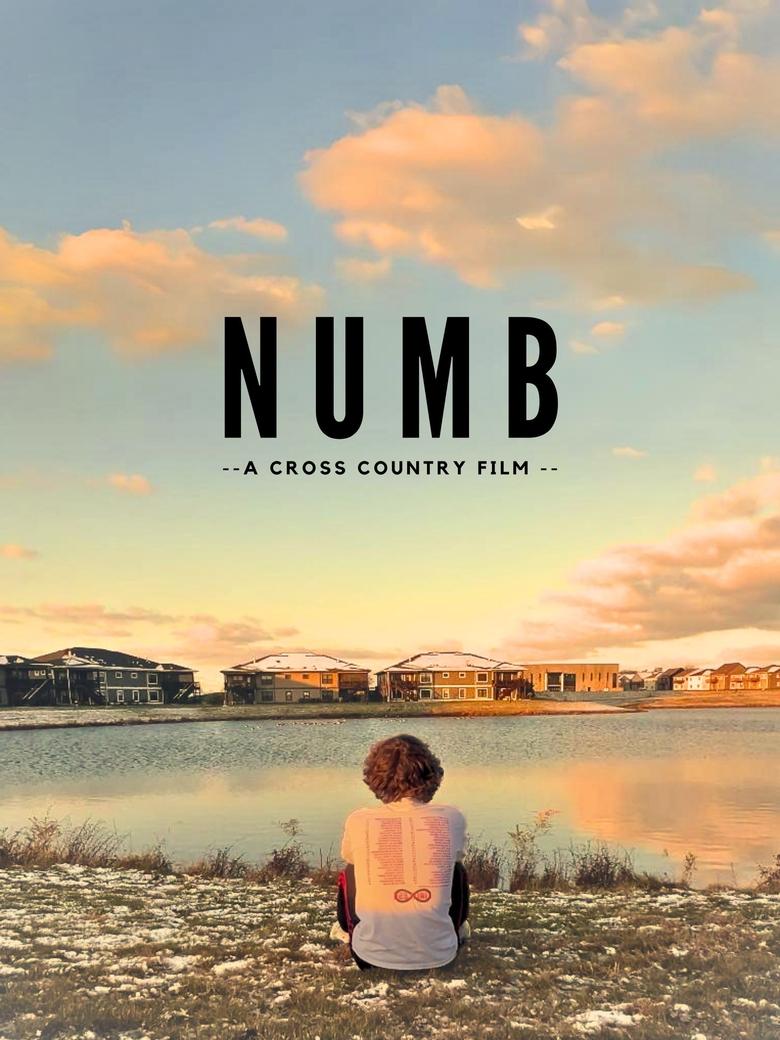 Poster of Numb