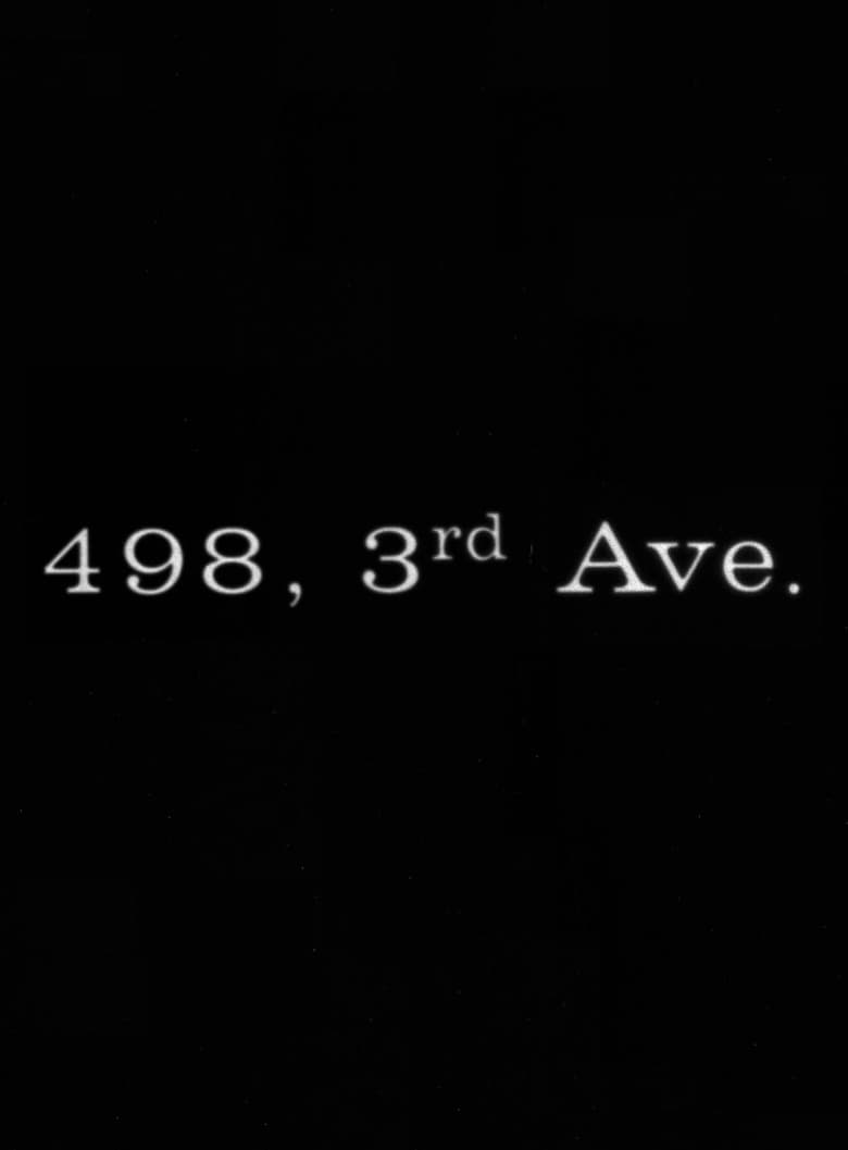 Poster of 498 Third Avenue