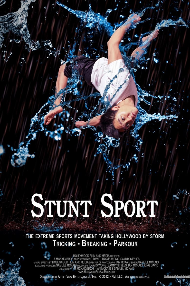 Poster of Stunt Sport