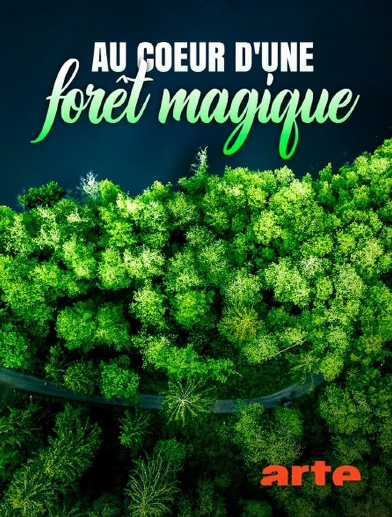 Poster of Au cœur d'une forêt magique