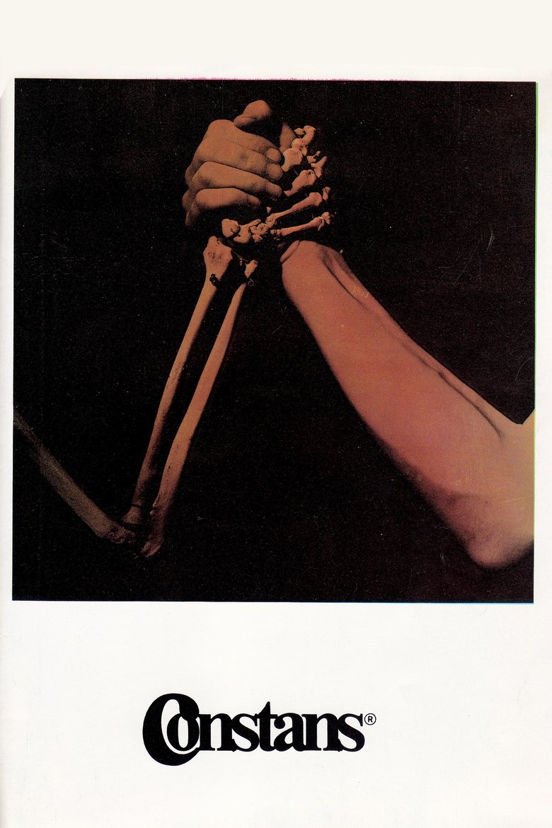 Poster of The Constant Factor