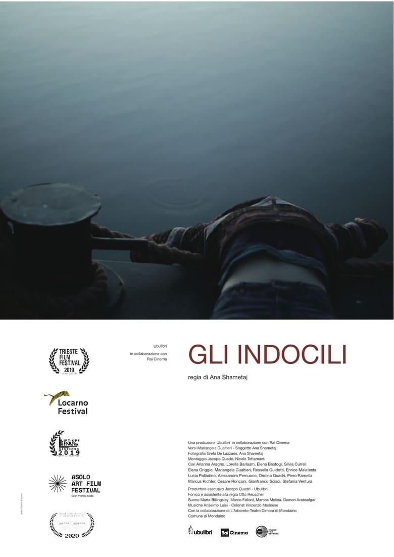 Poster of Gli indocili