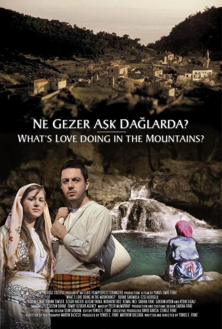 Poster of Ne Gezer Aşk Dağlarda?