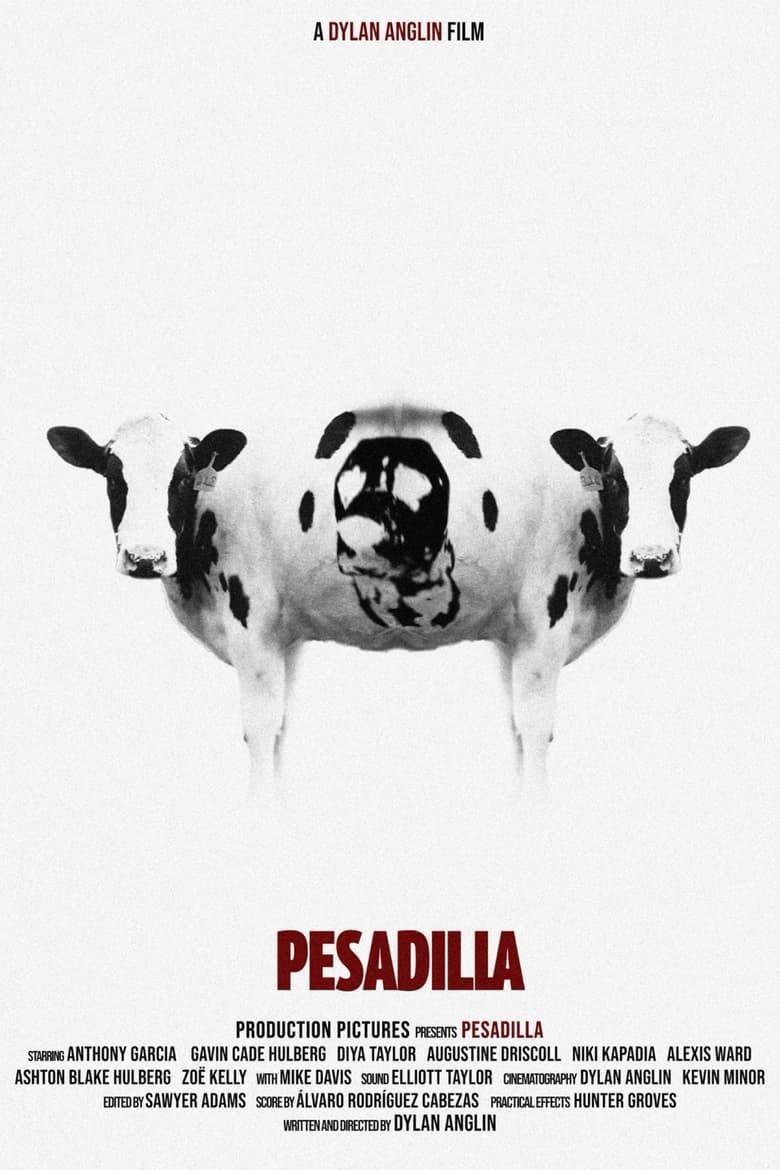 Poster of Pesadilla