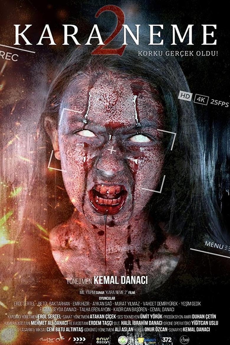 Poster of Kara Neme 2