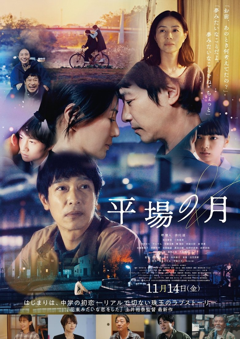 Poster of A Moon in the Ordinary