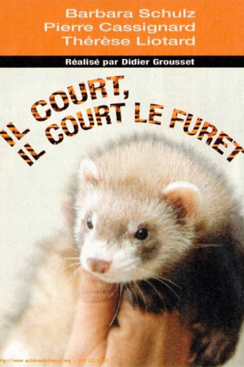 Poster of Il court, il court, le furet...