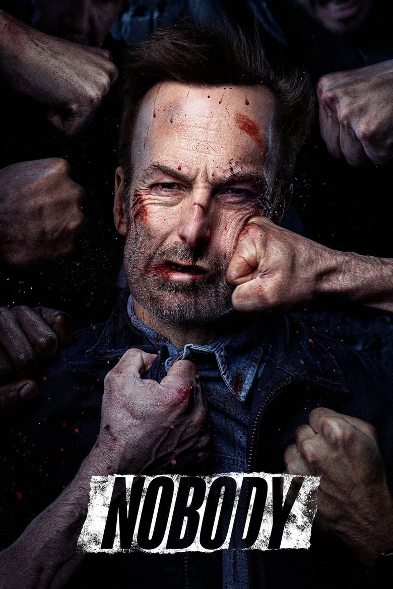 Poster of Nobody