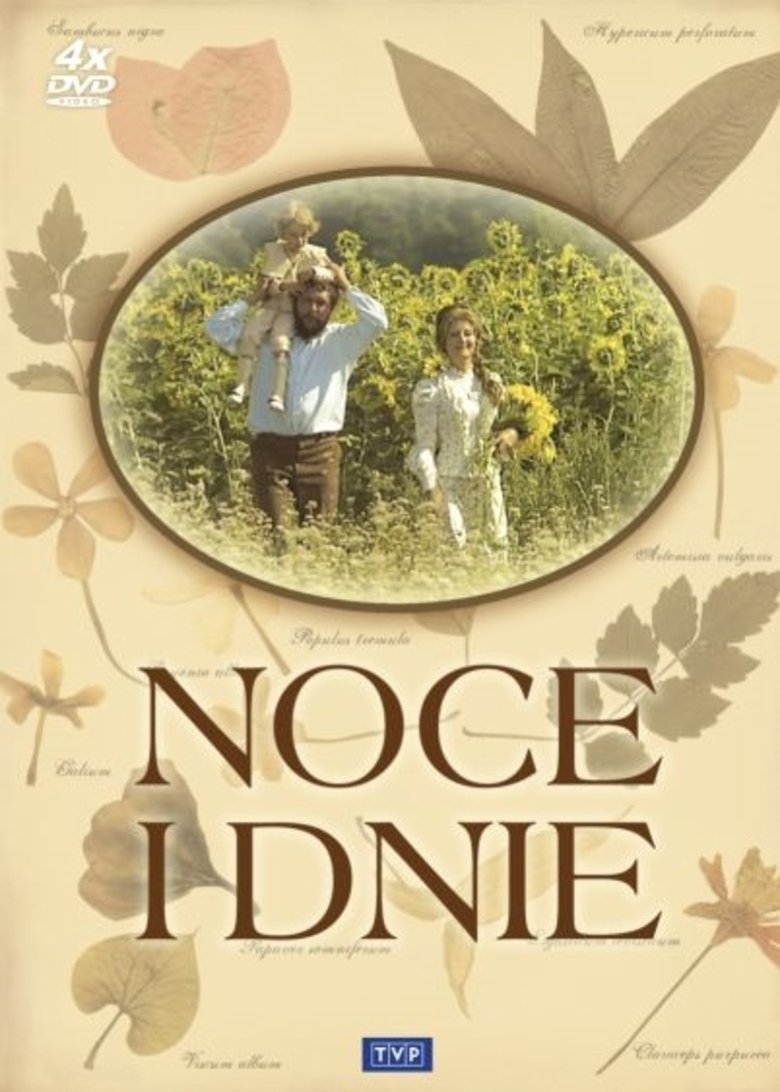 Poster of Noce i dnie
