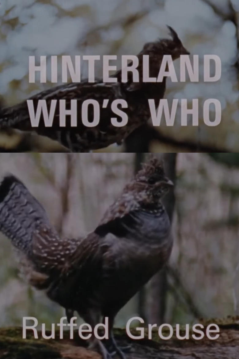 Poster of Hinterland Who's Who: Ruffed Grouse