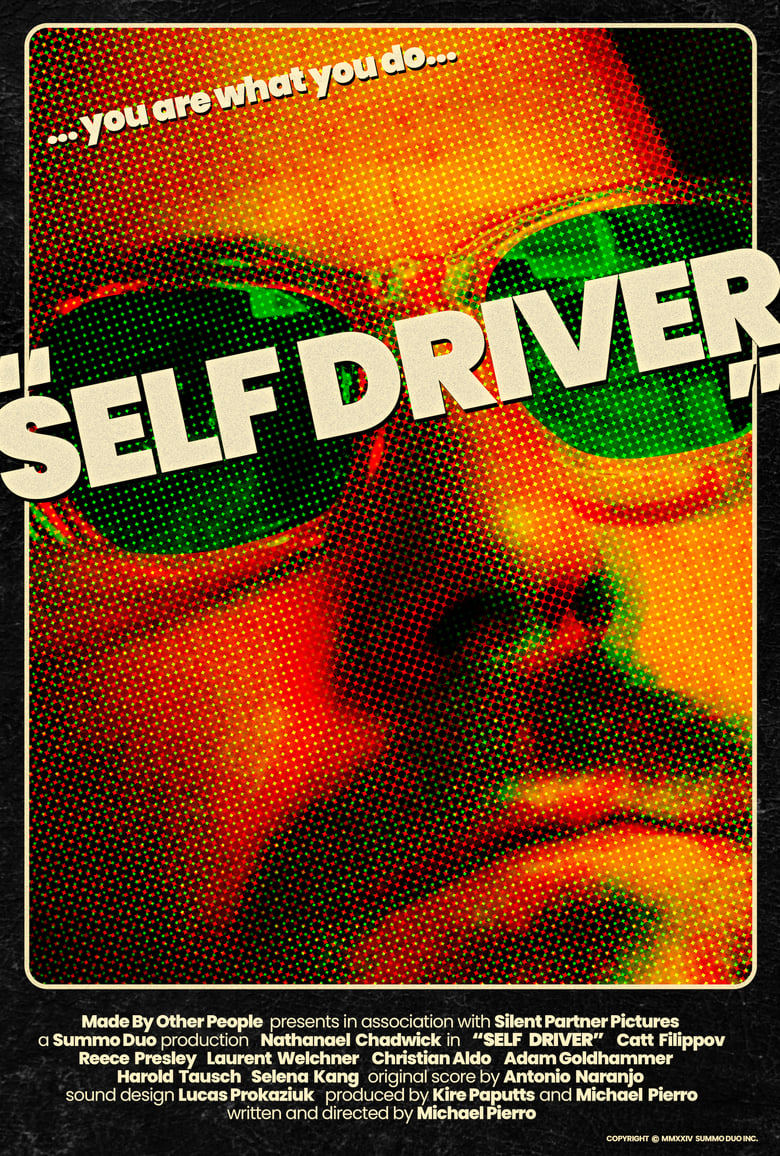 Poster of Self Driver