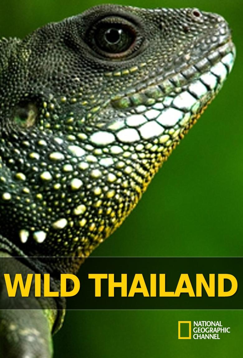 Poster of Episodes in Wild Thailand - Season 1 - Season 1