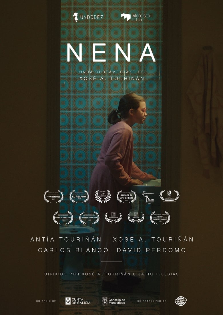 Poster of Nena