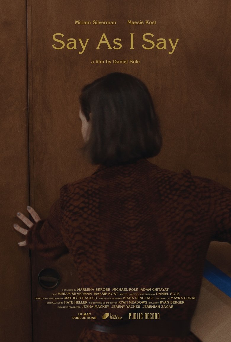 Poster of Say as I Say
