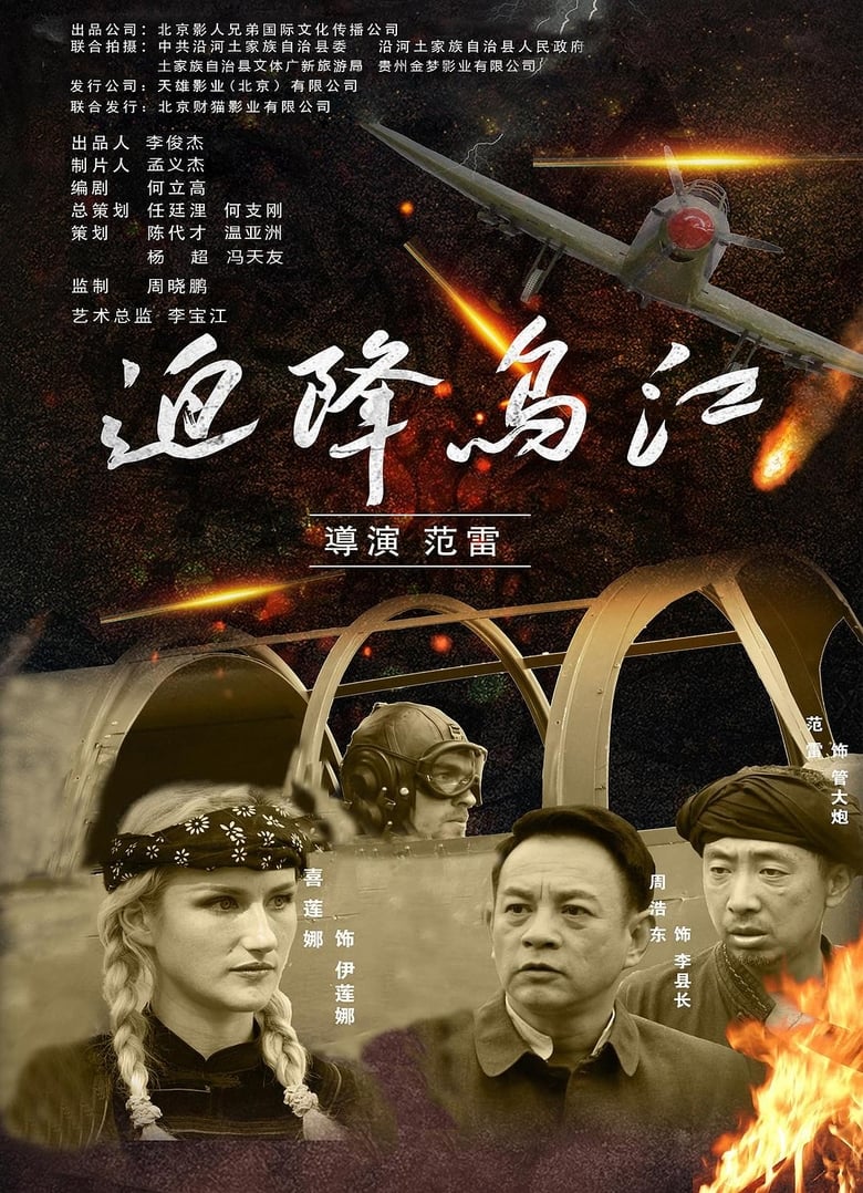 Poster of 迫降乌江