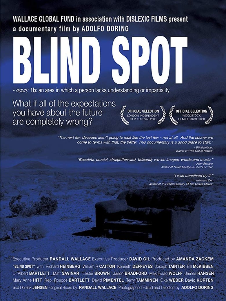 Poster of Blind Spot