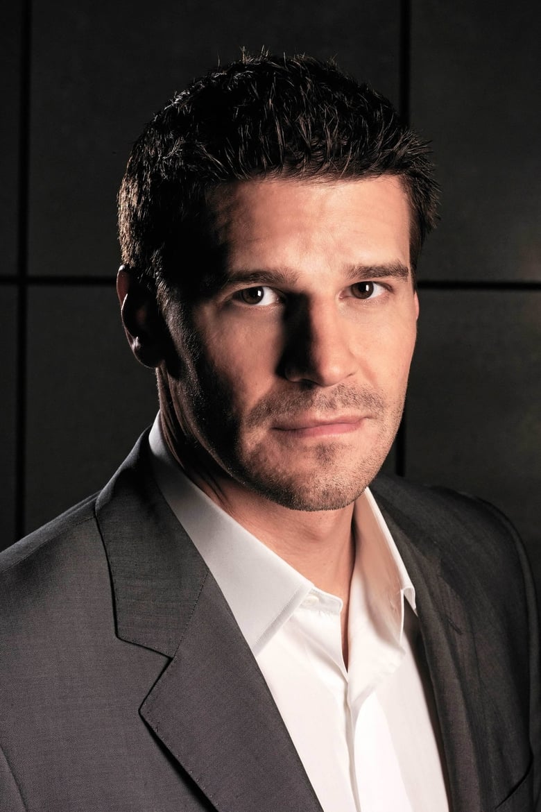 Portrait of David Boreanaz