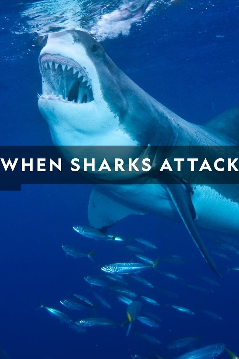 Poster of Cast and Crew in When Sharks Attack - Season 6 - Episode 3 - 10 Minutes of Terror