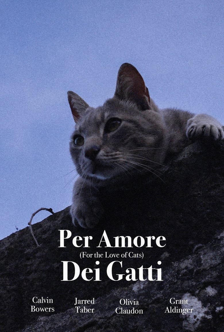 Poster of For the Love of Cats