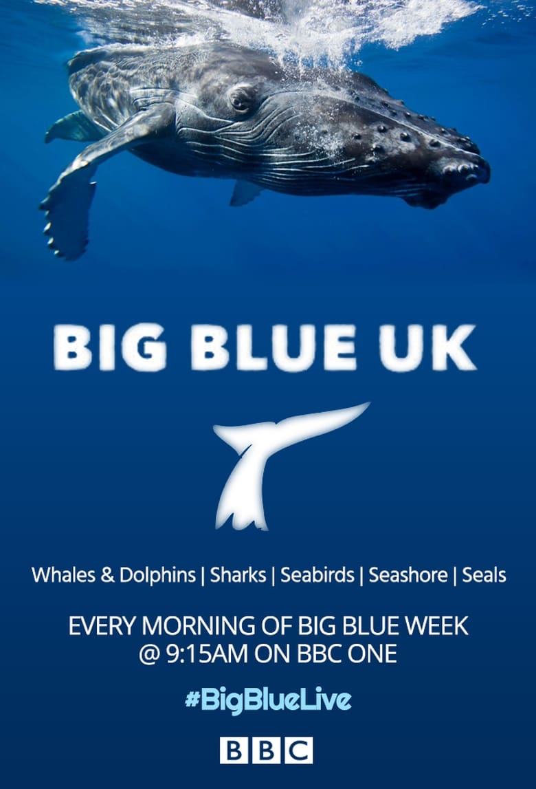 Poster of Big Blue UK