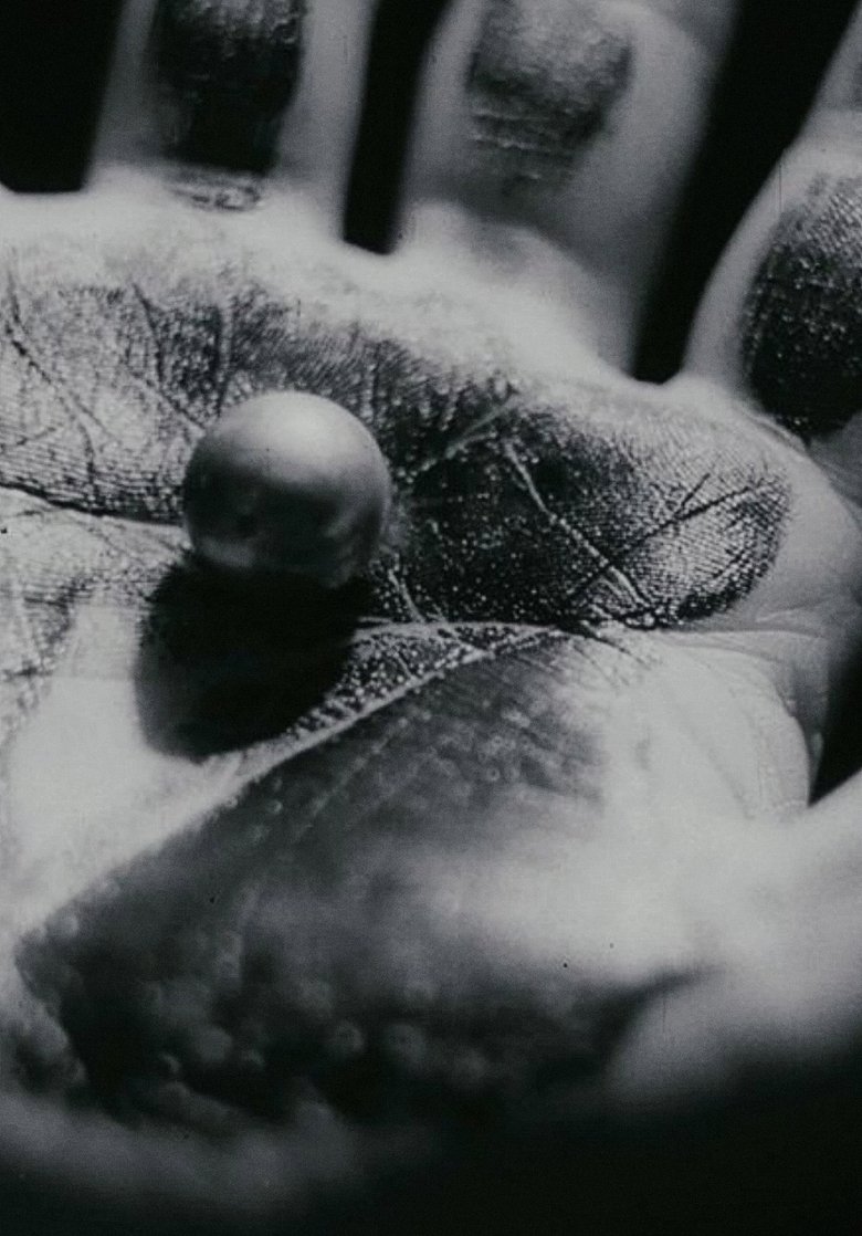 Poster of Hand