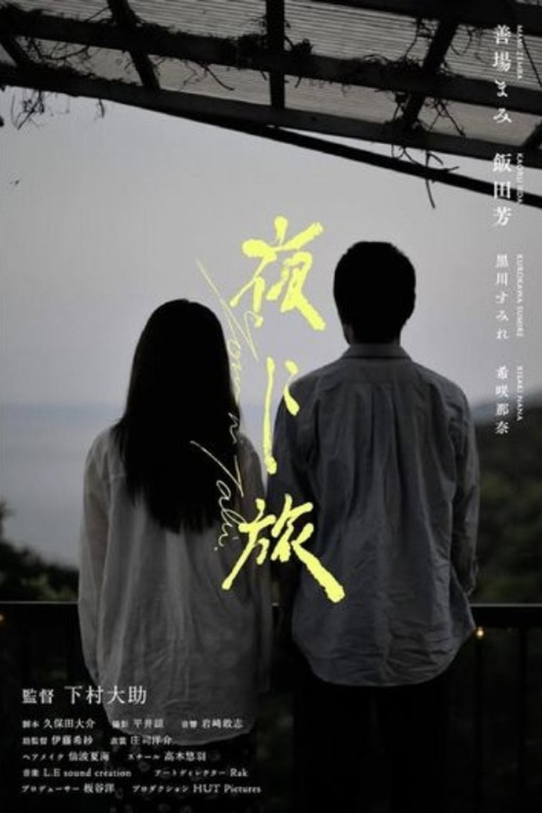 Poster of Journey Through the Night