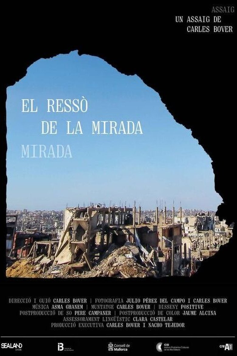 Poster of El ressò de la mirada