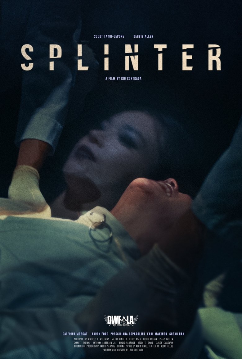 Poster of Splinter