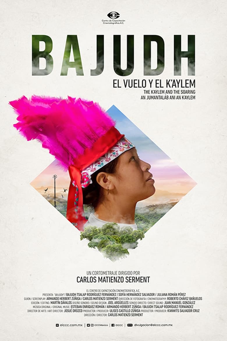 Poster of Bajudh