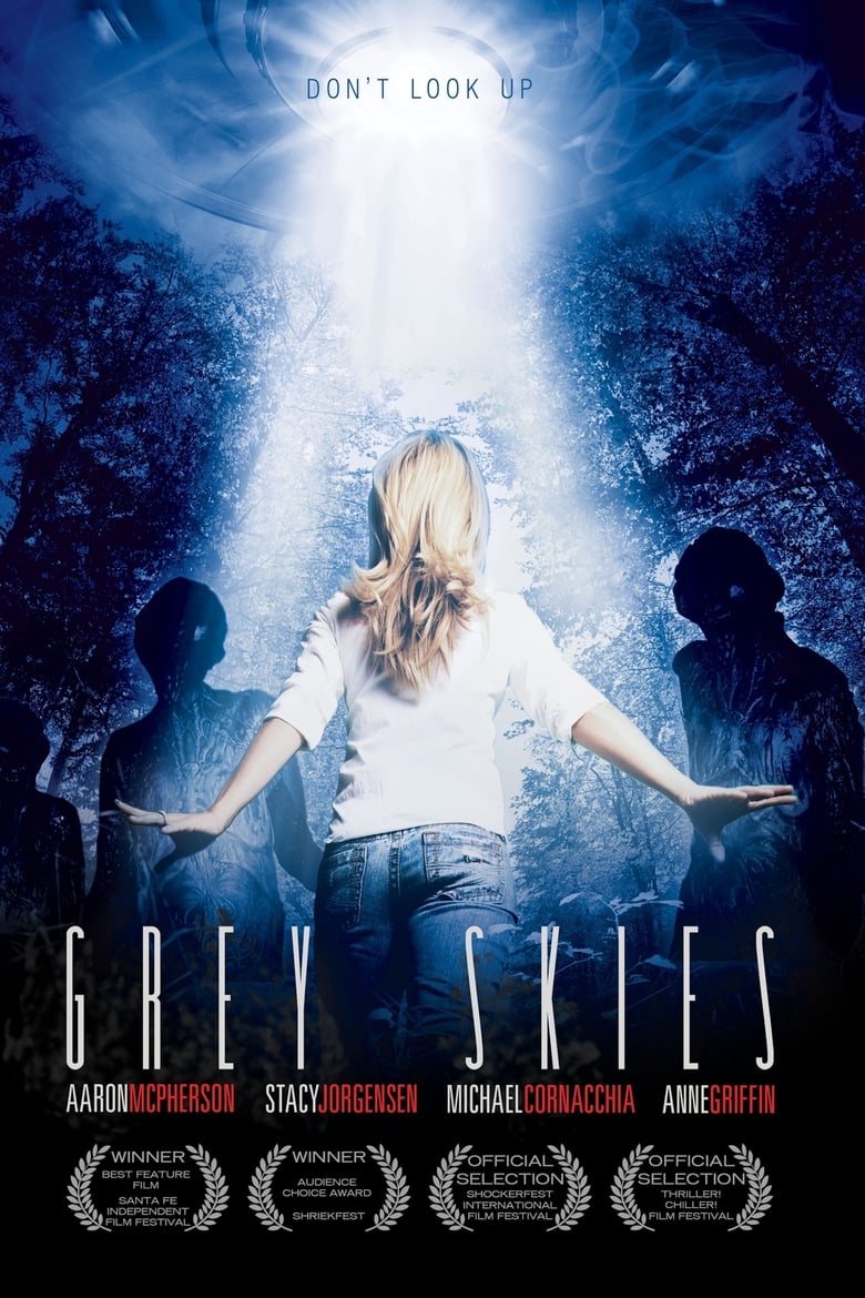 Poster of Grey Skies