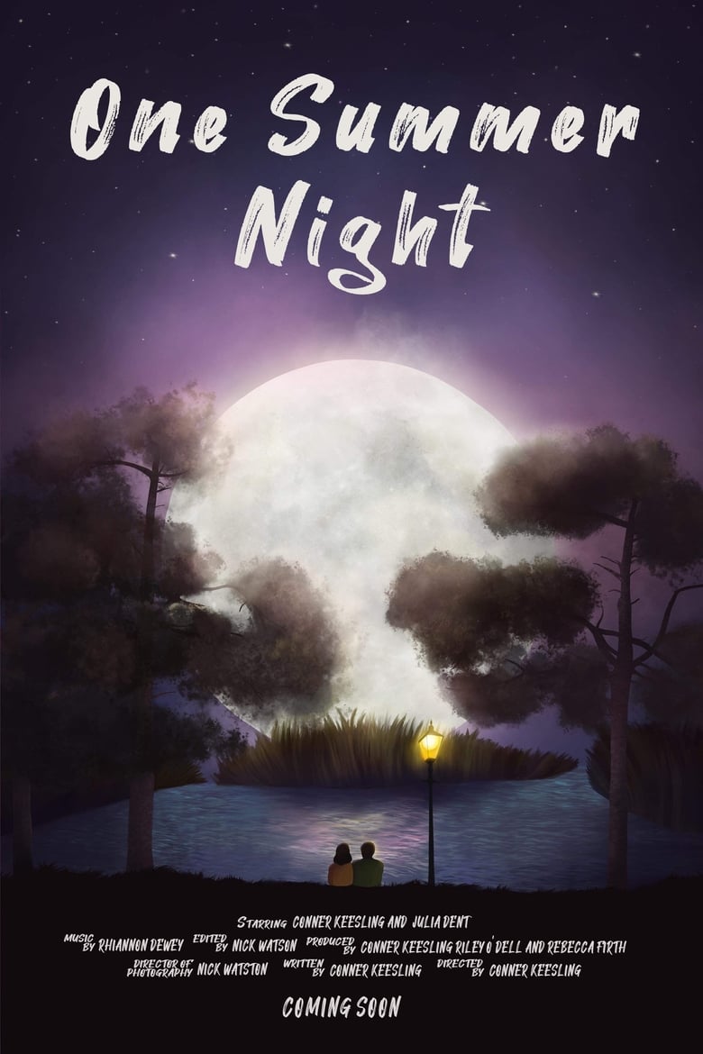 Poster of One Summer Night