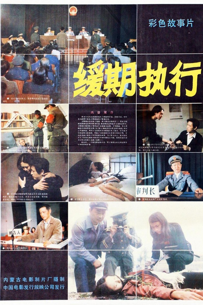 Poster of 缓期执行