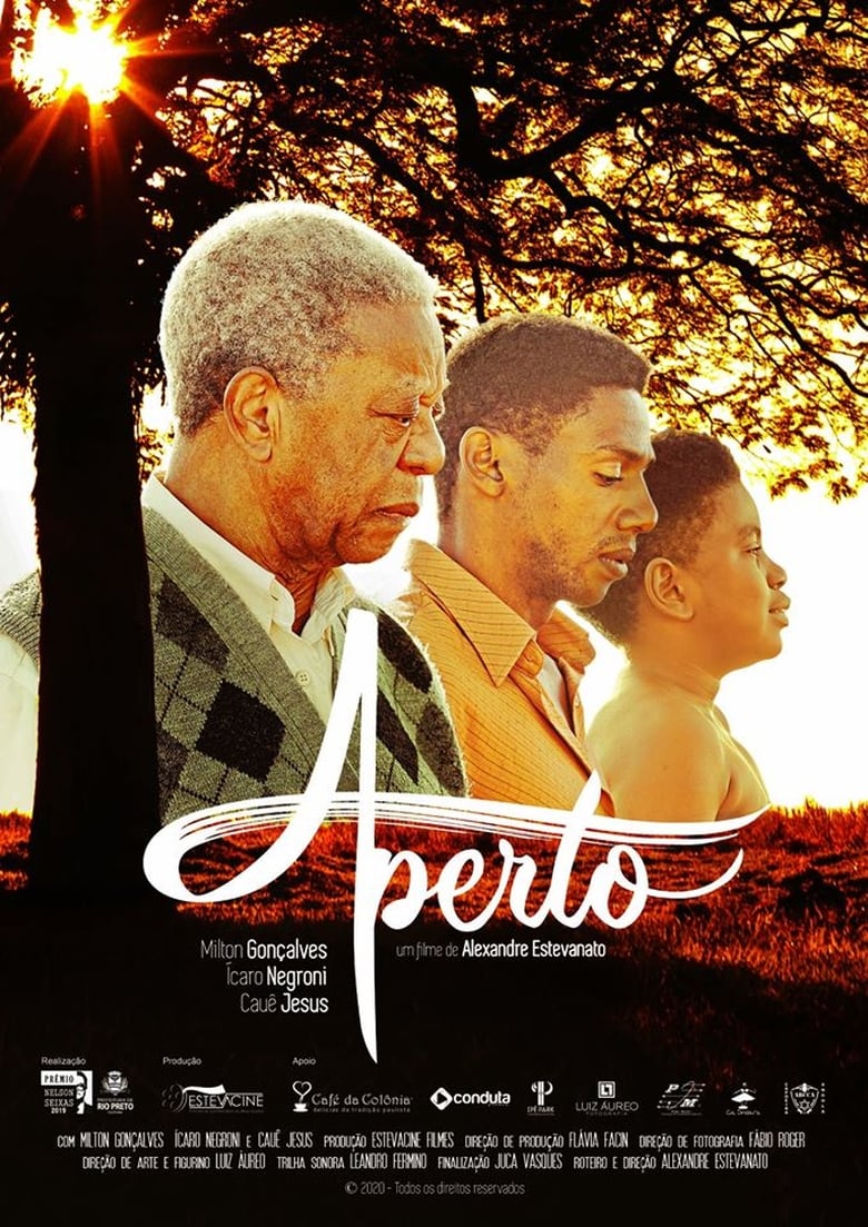 Poster of Aperto