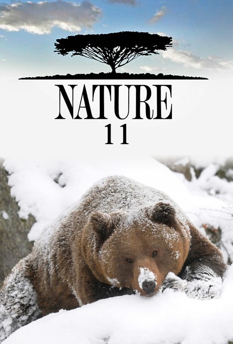 Poster of Episodes in Nature - Season 11 - Season 11