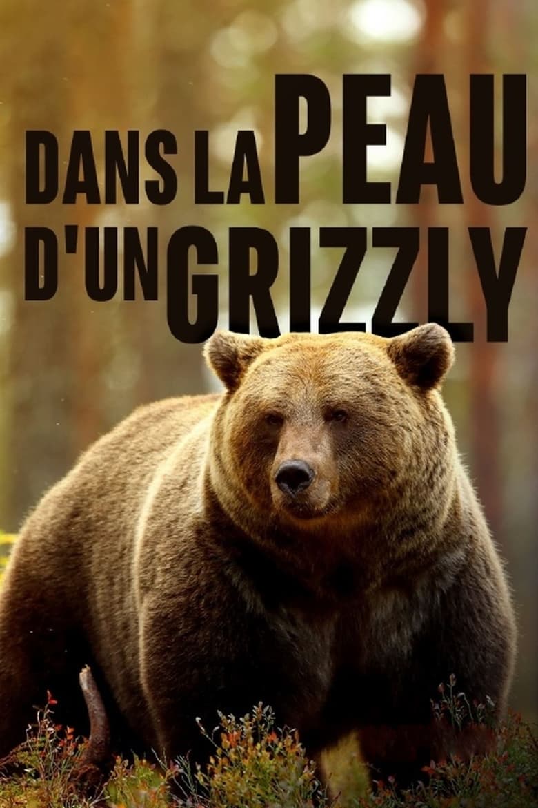 Poster of Grizzlys hautnah