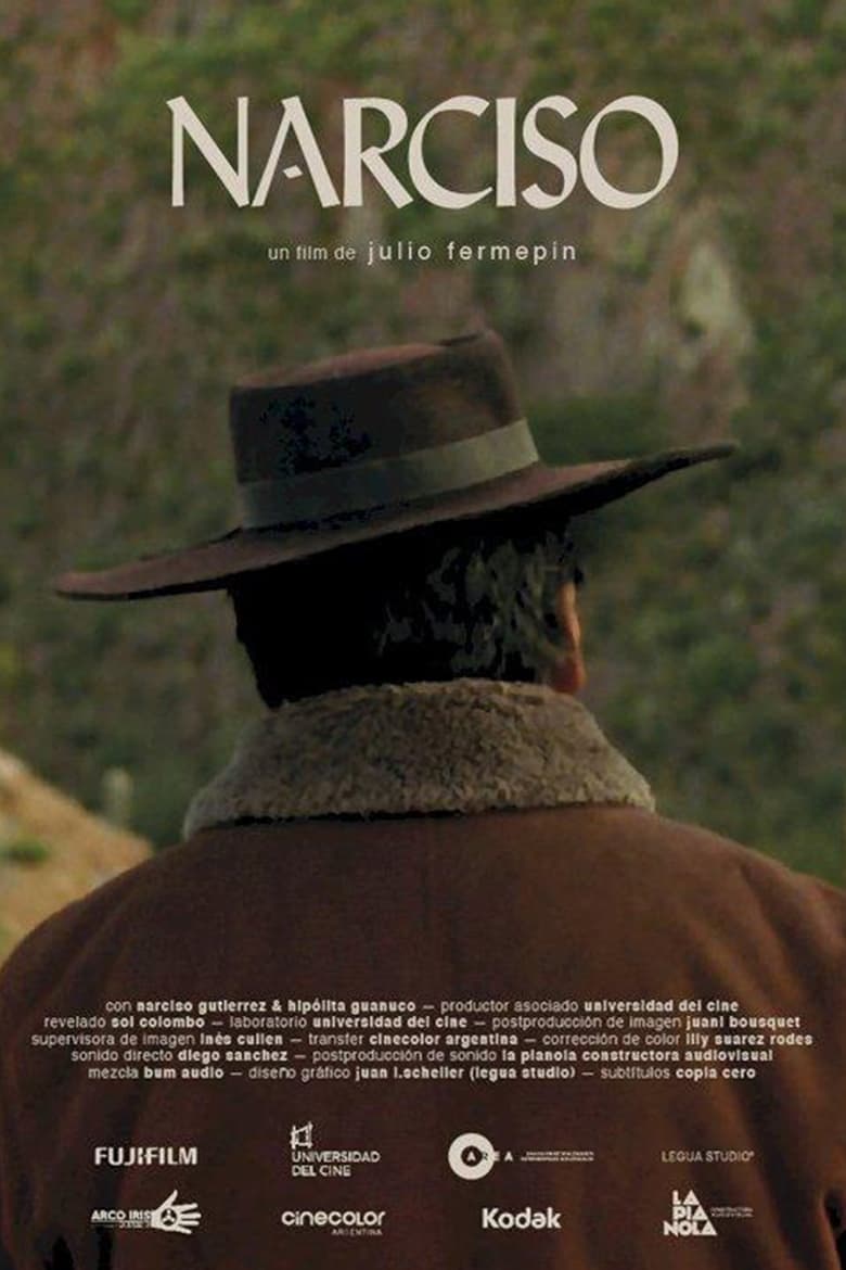 Poster of Narciso