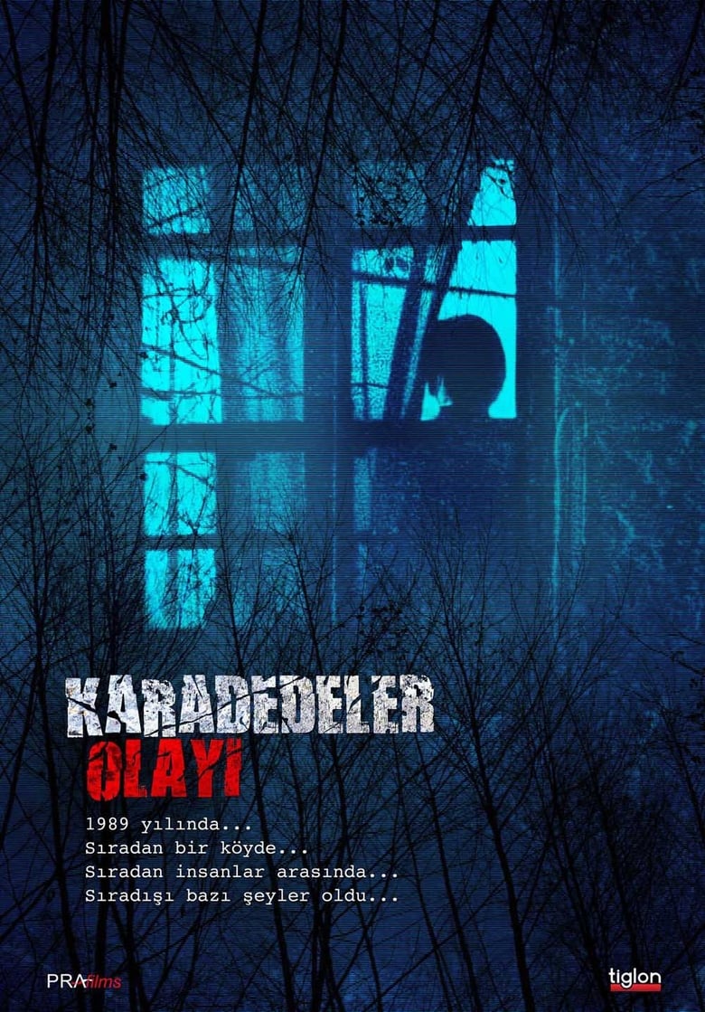 Poster of The Karadedeler Incident