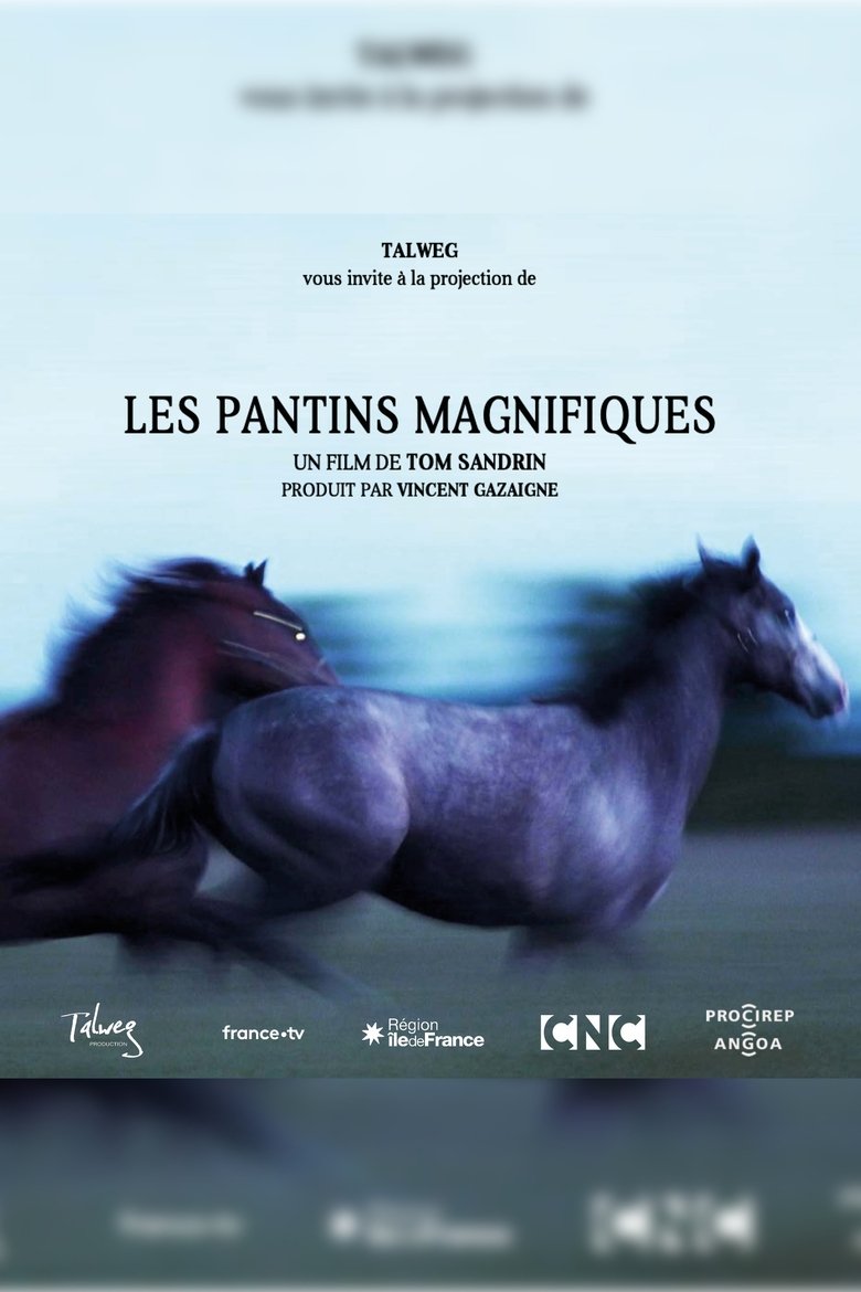 Poster of Les pantins magnifiques